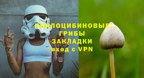 соль курить ск Богородск