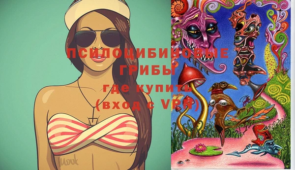 бутират Богородицк